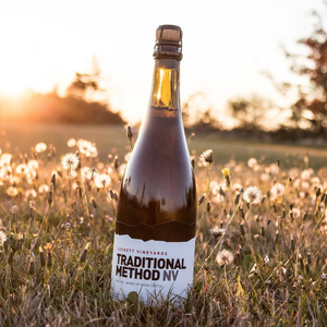 Traditional Method NV