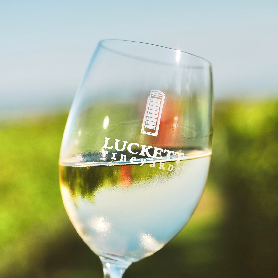 Unoaked Chardonnay