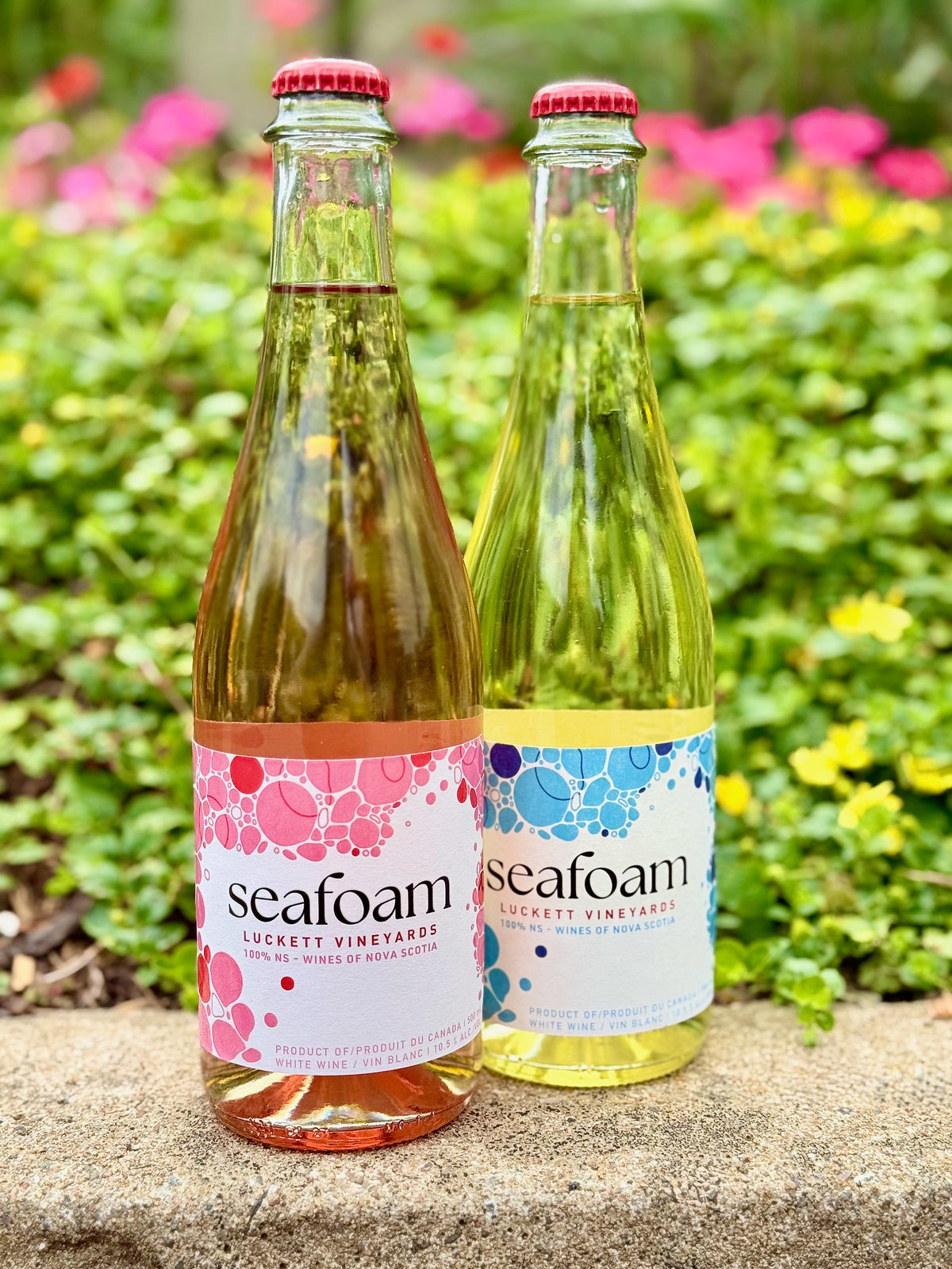 Seafoam Rosé